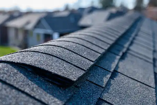 Shingle roof close up